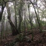 Ascenso vertical cerro Malacara km 9.5