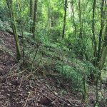 Cerro Mala Cara km 14.7