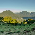 La Aguacatera km 2.9